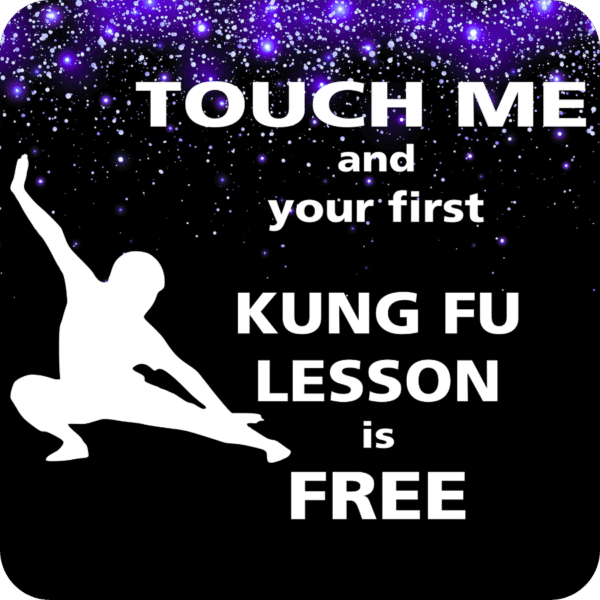 Kung-fu-themed decal with white male silhouette figure and the text “Touch me and your first kung-fu lesson is free” against a purple starry background.
