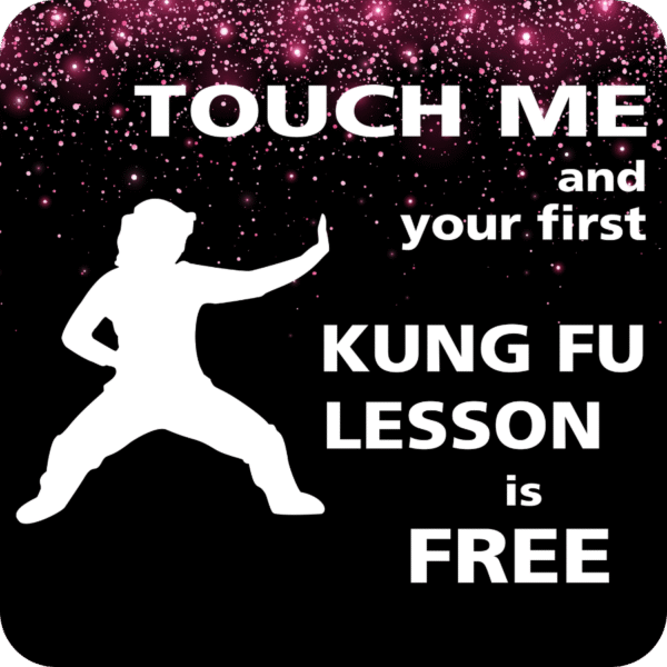 Kung-fu-themed decal with white female silhouette figure and the text “Touch me and your first kung-fu lesson is free” against a red starry background.