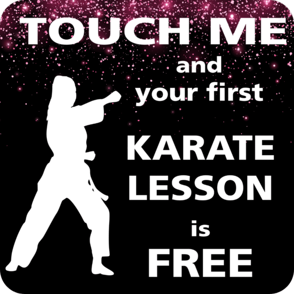 Karate-themed decal with white female silhouette figure and the text “Touch me and your first karate lesson is free” against a red starry background.