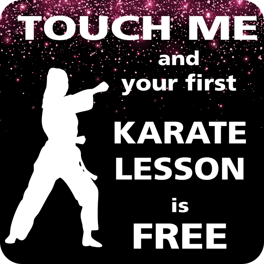 Karate-themed decal with white female silhouette figure and the text “Touch me and your first karate lesson is free” against a red starry background.